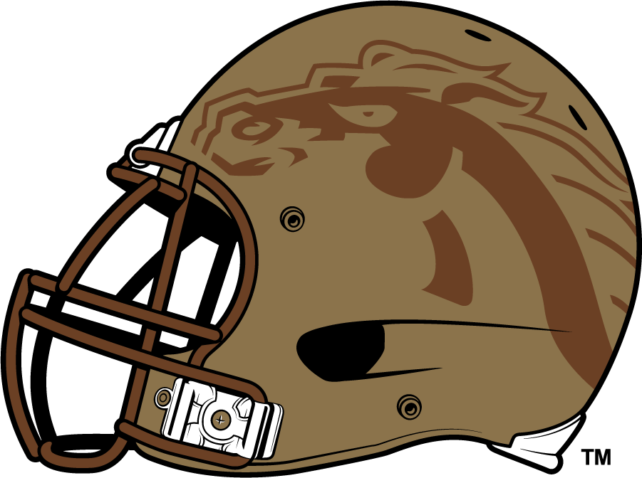 Western Michigan Broncos 2013-2020 Helmet Logo diy DTF decal sticker